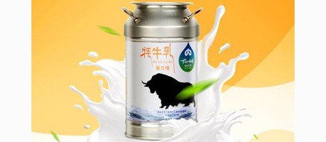 华羚牦牛乳品 原味蛋白糖120g灌装