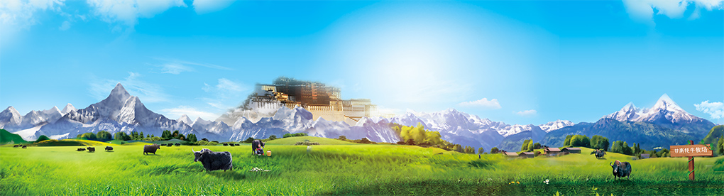 牦牛雪山-4.jpg
