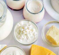 常见的乳制品分类及通用海关归类